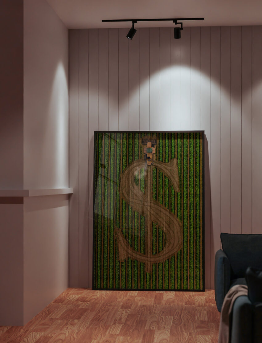 Cash Crop - Afbeelding 5