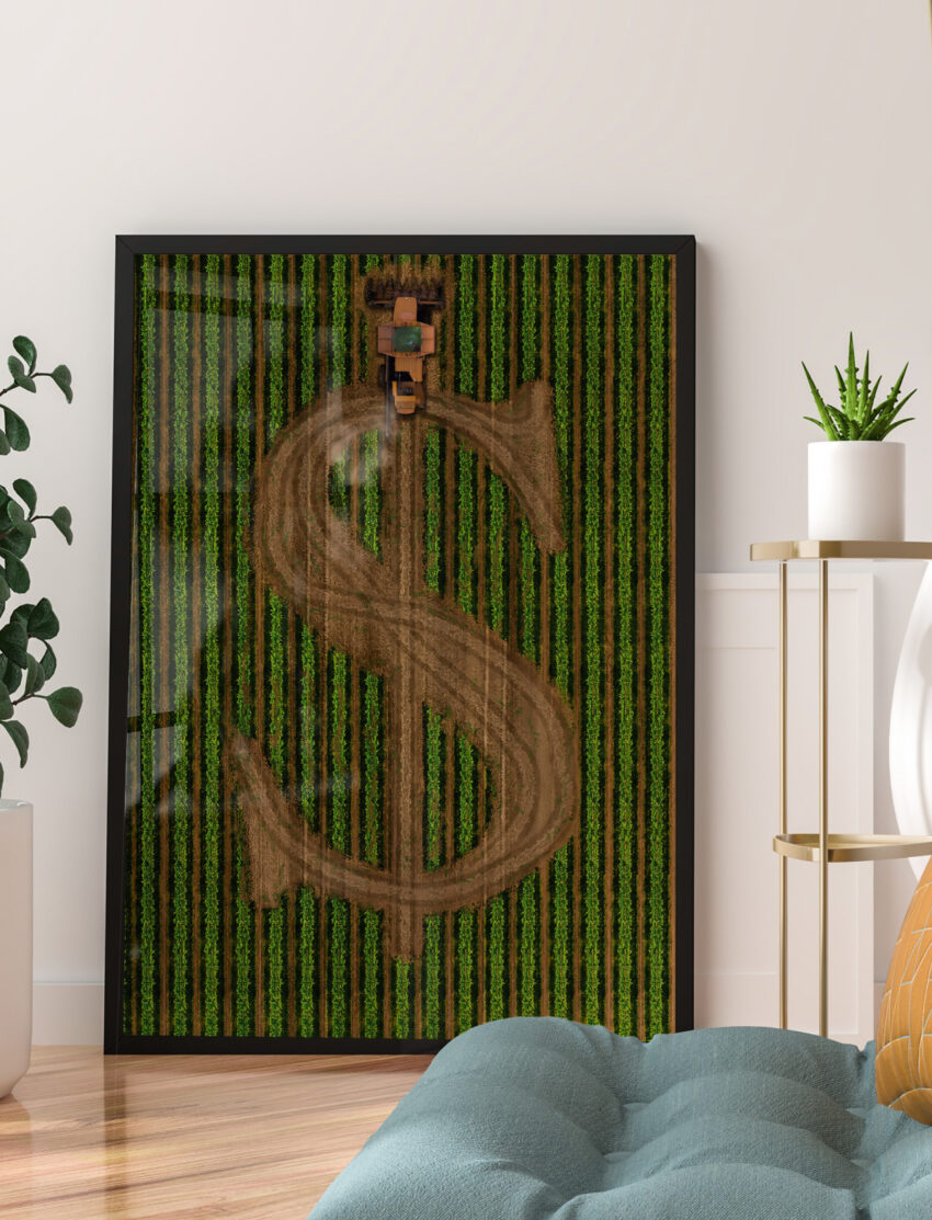 Cash Crop - Afbeelding 3