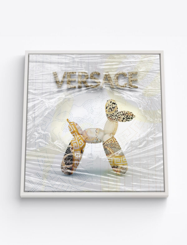 Wrapped Woof: Versace x Medusa’s Mutt